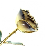 Ivory to Black 24K Gold Trimmed Rose