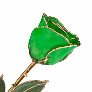 24 K Gold Rose Green Gold Trimmed Rose