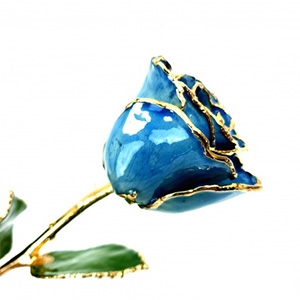 24 K Gold Rose Dark Blue Gold Rose Trimmed in 24K