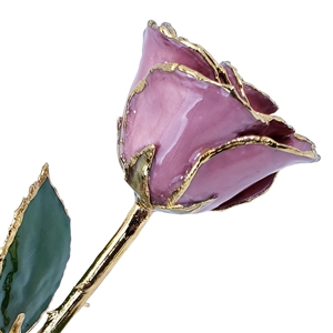 24 K Gold Rose Pink Lilac Lacquer and Gold Tipped Rose