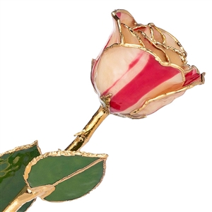 24 K Gold Rose Peppermint Lacquer and Gold Dipped Rose
