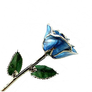 24 K Gold Rose Dark Blue Lacquer and Platinum Trimmed Rose