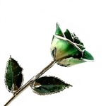 White to Green Platinum Trimmed Rose