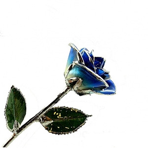 24 K Gold Rose Dark Blue Two Toned and Platinum Rose