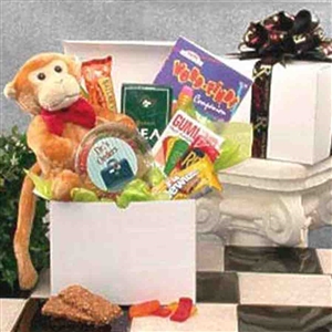 Giftbasket Drop Shipping Hang In There Get Well Care Package