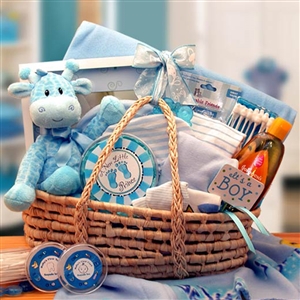 Giftbasket Drop Shipping New Arrival Blue Baby Carrier Gift Basket