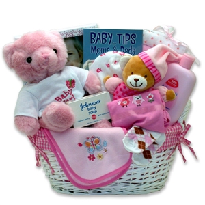 Giftbasket Drop Shipping Last Minute Baby Girl Gift Basket