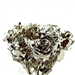 Dozen Platinum Dipped Roses