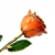 Spice Orange 24K Gold Trimmed Rose