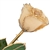 Vintage White 24K Gold Trimmed Rose