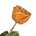 November Birthstone Color, 24K Gold Trimmed Rose