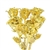 Half Dozen Gold Dipped Roses Bouquet