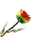 The Rainbow 24K Gold Trimmed Rose