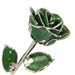 Emerald Green Silver Trimmed Rose