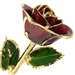 January Birthstone Garnet Rose Trimmed in 24K Gold