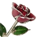 January Birthstone Garnet Rose Trimmed in Silver