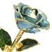 March Birthstone Aquamarine Rose, 24K Gold Trim