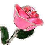 Pink Tourmaline October Birthstone Platinum Trimmed Rose