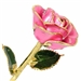 October Birthstone Color Rose, 24K Gold Trimmed